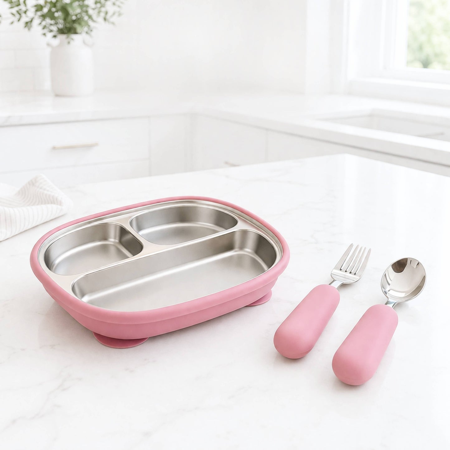 Stainless Steel Silicone Suction Plate